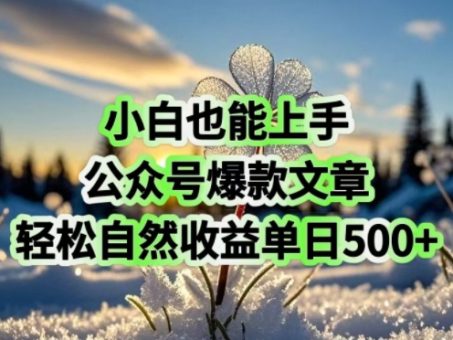 新手也可以入门,微信公众号爆款文章,轻松自然流盈利单日5张-韬哥副业项目资源网