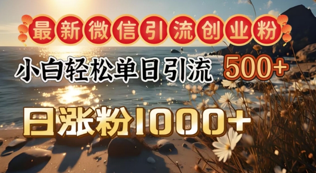 全新微信加粉自主创业粉，小白单日轻轻松松引流方法500 ，日增粉1000-韬哥副业项目资源网