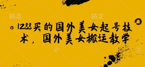 1288买来的国外美女养号技术性，国外美女运送课堂教学-韬哥副业项目资源网