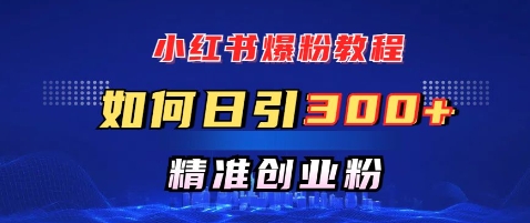 小红书爆粉教程,如何日引300 创业粉,快速实现精准变现