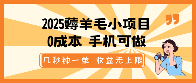 2025撸羊毛小程序，0成本费 手机能做，几秒一单，盈利无限制-韬哥副业项目资源网