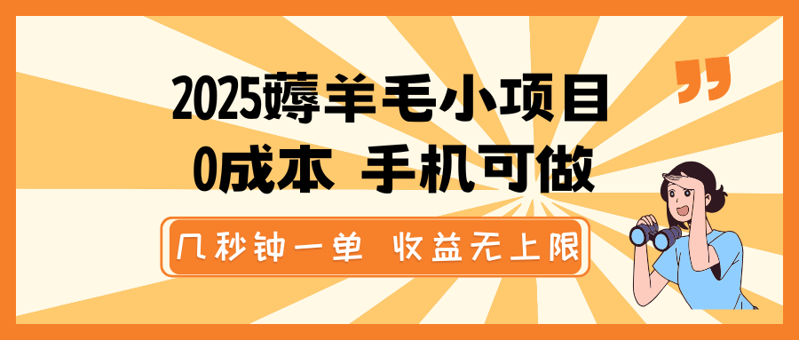 2025撸羊毛小程序，0成本费 手机能做，几秒一单，盈利无限制-韬哥副业项目资源网