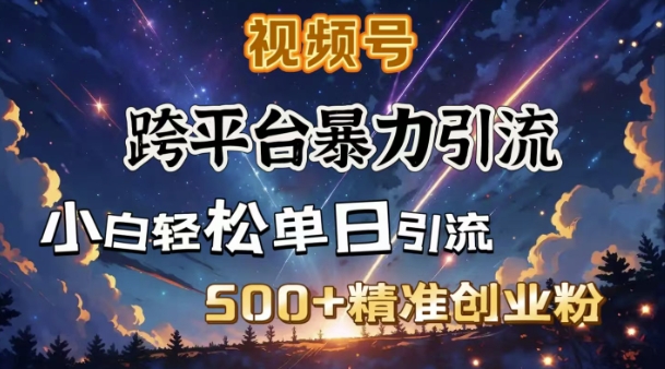 混合开发暴力行为引流方法，公域极致闭环控制，日引500 精确自主创业粉-韬哥副业项目资源网