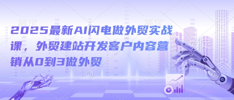 2025全新AI雷电做跨境电商实战演练课，外贸网站建设寻找客户内容运营从0到3做跨境电商-韬哥副业项目资源网