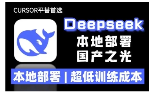 2025年deepseek R1 大型模型当地部署应用(文档 实例教程)本地部署，极低练习成本费-韬哥副业项目资源网