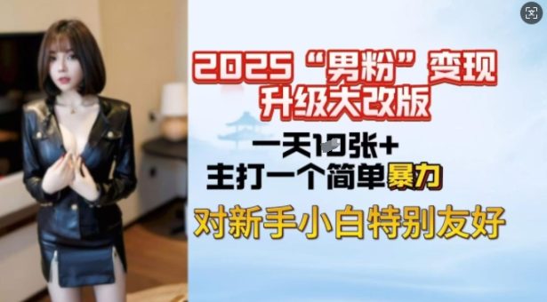 2025粉丝转现全新玩法更新,日入过千很简单,小白可快速上手-韬哥副业项目资源网