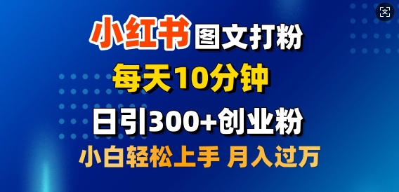 2月小红书的图文并茂磨粉，每日10min，日引300 自主创业粉，新手轻轻松松月收入过W-韬哥副业项目资源网