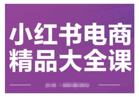 小红书电商精典全集课，快速上手小红书运营方法，完成精准引流方法与打造爆款总体目标，快速上手小红书电商-韬哥副业项目资源网