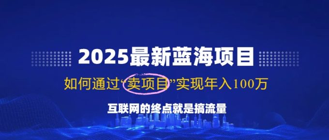 (14305期)2025全新蓝海项目,零门槛轻轻松松拷贝,月入10万 ,初学者也可以实际操作!-韬哥副业项目资源网