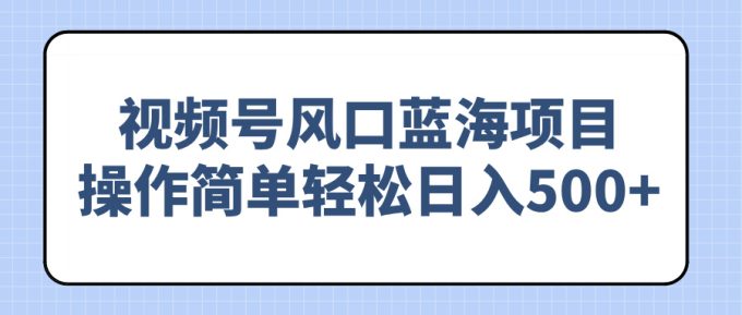 （14276期）视频号风口蓝海项目，操作简单轻松日入500+-韬哥副业项目资源网