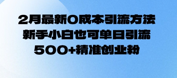 2月最新0成本引流方法,新手小白也可单日引流500 精准创业粉