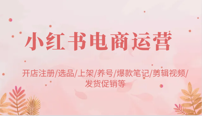 小红书电商经营:开实体店申请注册/选款/发布/起号/爆品手记/视频编辑/安排发货促销等-韬哥副业项目资源网