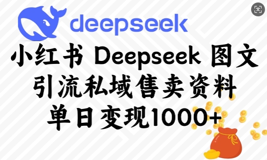 小红书的Deepseek图文并茂引流方法公域出售材料，单日转现好几张-韬哥副业项目资源网