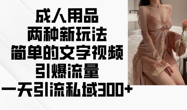 两性用品二种新模式，文字描述短视频引爆流量，一天引流方法公域300-韬哥副业项目资源网