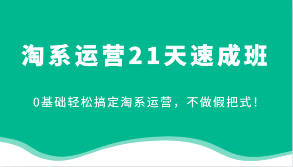 淘系运营21天速成班，0基础轻松搞定淘系运营，不做假把式！（更新）-韬哥副业项目资源网
