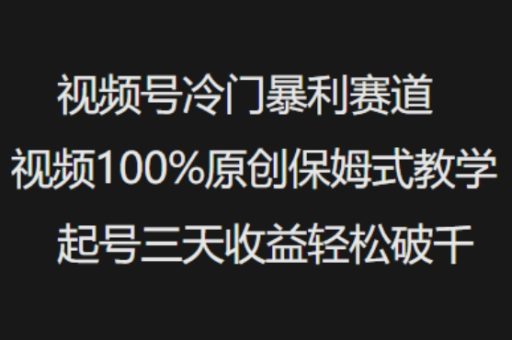 微信视频号小众爆利跑道短视频100%原创设计跟踪服务课堂教学养号三天盈利轻轻松松破千-韬哥副业项目资源网