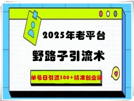 2025年老平台歪门邪道引流术,运单号日引流方法300 精确自主创业粉-韬哥副业项目资源网