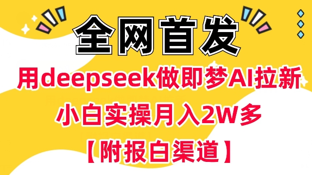 用deepseek做即梦Ai引流 新手实际操作月入了W 【附开通抖音小店方式】-韬哥副业项目资源网
