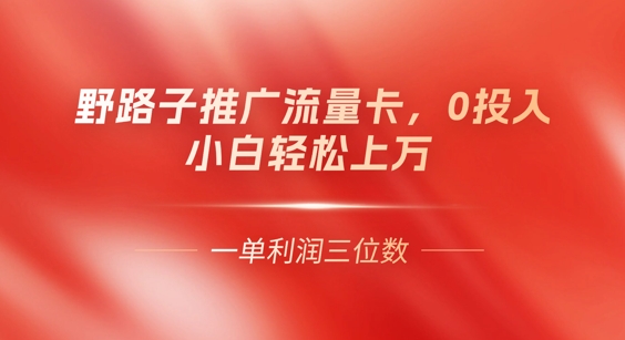 0门槛推广流量卡，一单收益上百，0投入，小白月入过W-韬哥副业项目资源网