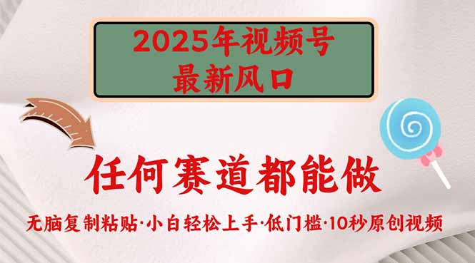 （14453期）2025年微信视频号新蓝海，门槛较低只需没脑子实行-韬哥副业项目资源网