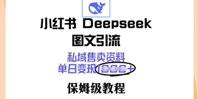 小红书的Deepseek图文并茂引流方法，公域出售材料，单日转现好几张，家庭保姆级实例教程-韬哥副业项目资源网