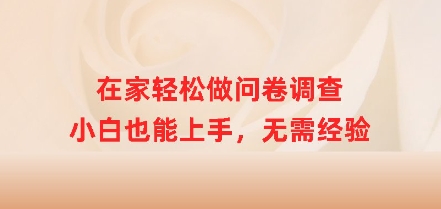 在家里轻轻松松做问卷调查，新手也可以入门，无需经验-韬哥副业项目资源网