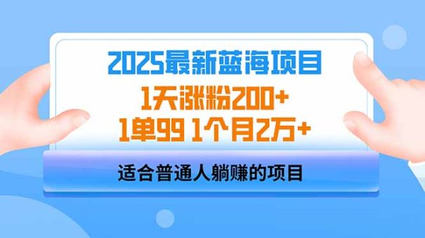 (14573期)2025蓝海项目 1天增粉200 1单99 1个月2万-韬哥副业项目资源网