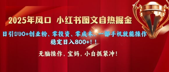 25年风口小红书图文掘金,日引300 创业粉、零投资、零成本、一部手机就能操作