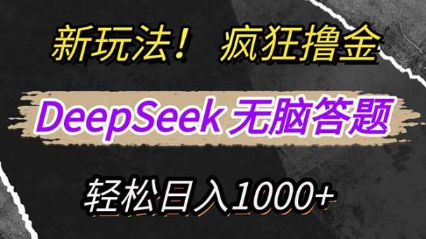 (14428期)新模式!运用DeepSeek,拷贝,没脑子简易解题,玩命撸新渠道盈利,轻…-韬哥副业项目资源网