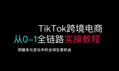 TikTok跨境电子商务从0-1全链路营销多方位实际操作实例教程，掌握多元化发展中全球买卖机遇-韬哥副业项目资源网