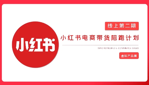 2025小红书虚拟电商实战课,从0到1打造无货源店铺,AI 爆款笔记轻松变现