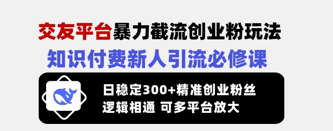 交友网站暴力行为截留自主创业粉游戏玩法，社交电商新手引流方法必修课程，日平稳300 精确自主创业粉丝们，逻辑性互通可全平台变大-韬哥副业项目资源网