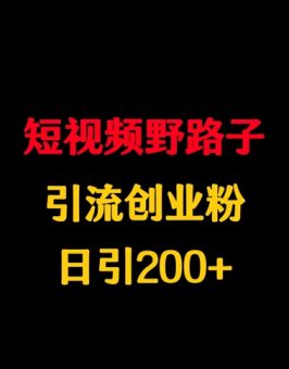 小视频歪门邪道引流方法自主创业粉，日引200-韬哥副业项目资源网