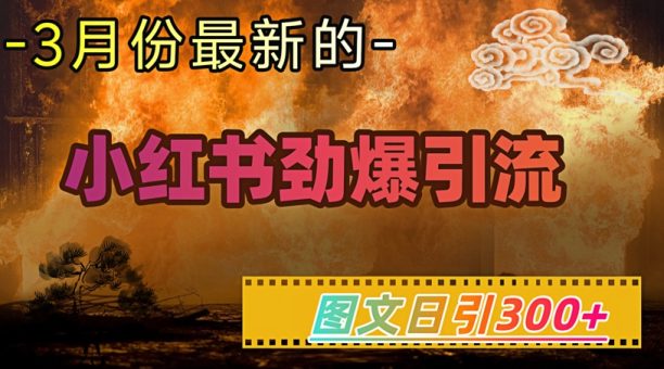 小红书的超劲爆引流方法方式,图文并茂日引300 轻轻松松转现1W-韬哥副业项目资源网