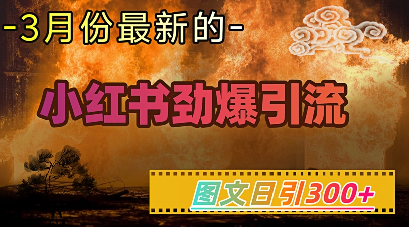 小红书超劲爆引流手段,图文日引300 轻松变现1W