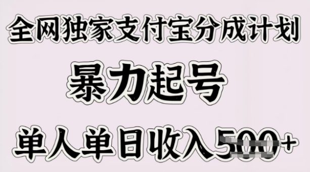 各大网站独家代理支付宝钱包分为方案，暴力行为养号，单人单日收益好几张-韬哥副业项目资源网