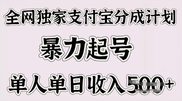 各大网站独家代理支付宝钱包分为方案，暴力行为养号，单人单日收益好几张-韬哥副业项目资源网