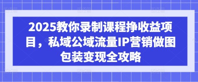 2025教大家录制课程挣盈利新项目,公域公域流量IP营销推广作图外包装转现攻略大全-韬哥副业项目资源网