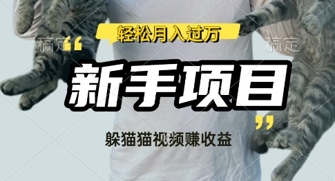 运用外国人捉迷藏比赛短视频，挣分为盈利，使用方便，新手入门，轻轻松松月入了W-韬哥副业项目资源网