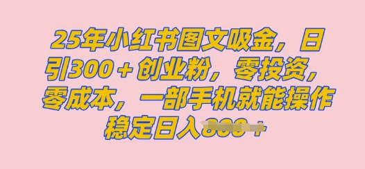 2025年小红书创业粉图文自热教程,日 300创业粉,单日变现多张,无脑操作,宝妈,小白抓紧冲