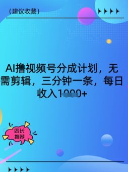 AI撸视频号分为方案，不用视频剪辑，三分钟一条，每日收益好几张-韬哥副业项目资源网