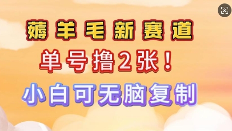 信息不对称新项目，运单号0撸140，可引流矩阵多号多撸，新手0难度系数入门-韬哥副业项目资源网