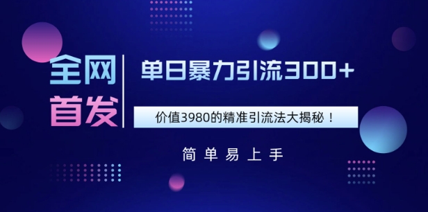 全网首发,价值3980单日暴力引流300 的精准引流法大揭秘
