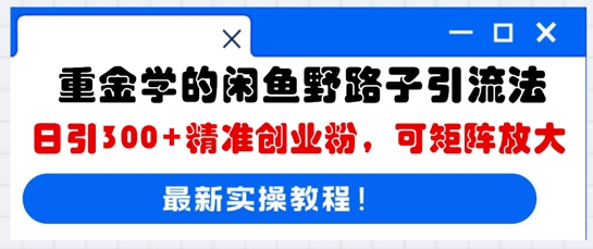 重金学的闲鱼野路子引流法,日引300 精准创业粉,可矩阵放大