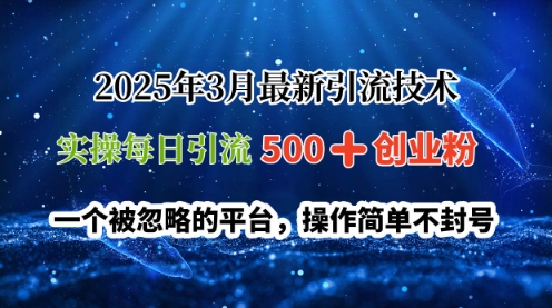 2025年3月全新引流技术,实际操作每日引流方法500 自主创业粉,一个被忽视服务平台,使用方便防封号-韬哥副业项目资源网