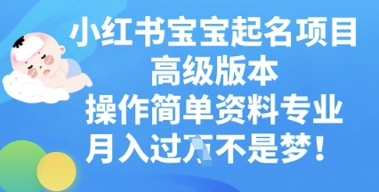 小红书宝宝起名项目高级版本,操作简单,资料专业,月入过W