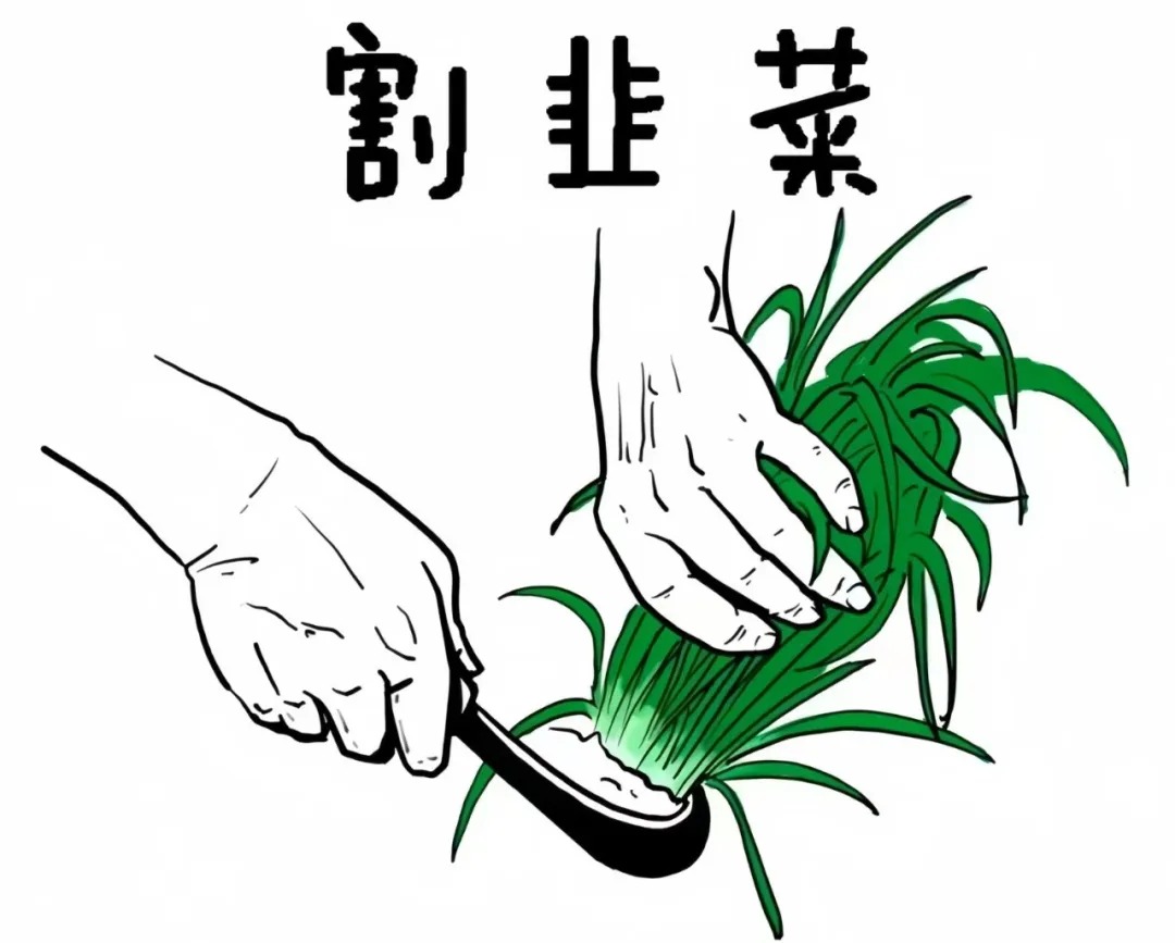 你还在到处找项目?还在当韭菜?我靠卖项目一个月赚5万