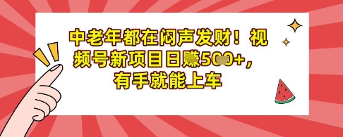 中老年人都是在闷声发财，微信视频号最新项目日入好几张，两双手就可进入车内-韬哥副业项目资源网