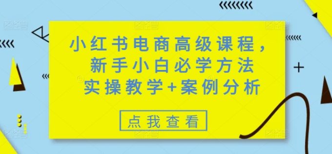 小红书电商高级课程，新手入门必会方式，实际操作课堂教学 经典案例-韬哥副业项目资源网