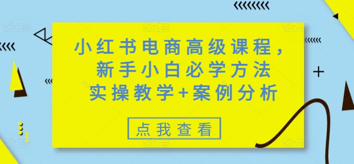小红书电商高级课程,新手小白必学方法,实操教学 案例分析